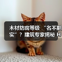 木材防腐等级 “名不副实”？建筑专家揭秘 H3 失效背后的设计危机（图3）