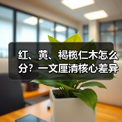 红、黄、褐榄仁木怎么分?一文厘清核心差异与应用边界(图2) 红、黄、褐榄仁木怎么分?一文厘清核心差异与应用边界(图2)