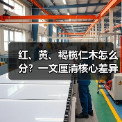 红、黄、褐榄仁木怎么分?一文厘清核心差异与应用边界(图3) 红、黄、褐榄仁木怎么分?一文厘清核心差异与应用边界(图3)