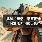 揭秘“黑檀”平替优选：风车木为何成大板茶桌高端材质新宠？（图4）