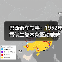巴西奇车轶事：1952年雪佛兰靠木柴驱动驰骋半世纪（图3）