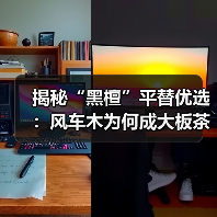 揭秘“黑檀”平替优选：风车木为何成大板茶桌高端材质新宠？（图3）