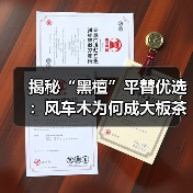 揭秘“黑檀”平替优选：风车木为何成大板茶桌高端材质新宠？（图4）