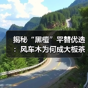 揭秘“黑檀”平替优选：风车木为何成大板茶桌高端材质新宠？（图2）