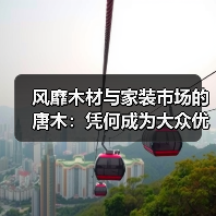 风靡木材与家装市场的唐木:凭何成为大众优选材种?(图4) 风靡木材与家装市场的唐木:凭何成为大众优选材种?(图4)