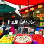 什么是熏蒸托箱?(图3) 什么是熏蒸托箱?(图3)