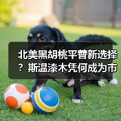 北美黑胡桃平替新选择?斯温漆木凭何成为市场新宠(图2) 北美黑胡桃平替新选择?斯温漆木凭何成为市场新宠(图2)