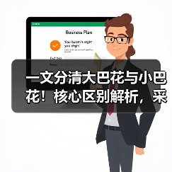一文分清大巴花与小巴花！核心区别解析，采购避坑必看（图4）