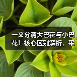 玄熵富翔地板之家 - 高品质地板销售与安装服务