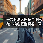 一文分清大巴花与小巴花！核心区别解析，采购避坑必看（图2）
