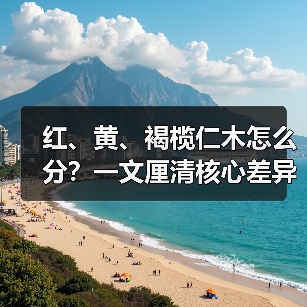 玄熵富翔地板之家 - 高品质地板销售与安装服务