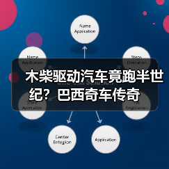 木柴驱动汽车竟跑半世纪?巴西奇车传奇(图4) 木柴驱动汽车竟跑半世纪?巴西奇车传奇(图4)