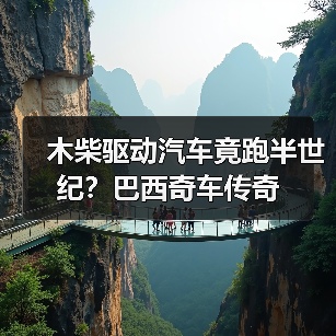 木柴驱动汽车竟跑半世纪?巴西奇车传奇(图2) 木柴驱动汽车竟跑半世纪?巴西奇车传奇(图2)