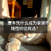唐木凭什么成为家装市场性价比优选?(图3) 唐木凭什么成为家装市场性价比优选?(图3)