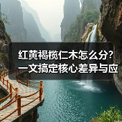 红黄褐榄仁木怎么分?一文搞定核心差异与应用场景(图2) 红黄褐榄仁木怎么分?一文搞定核心差异与应用场景(图2)