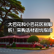 大巴花和小巴花区别解析!采购选材避坑指南(图4) 大巴花和小巴花区别解析!采购选材避坑指南(图4)