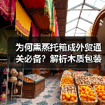 为何熏蒸托箱成外贸通关必备?解析木质包装合规关键(图2) 为何熏蒸托箱成外贸通关必备?解析木质包装合规关键(图2)