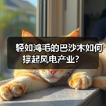 轻如鸿毛的巴沙木如何撑起风电产业?(图3) 轻如鸿毛的巴沙木如何撑起风电产业?(图3)
