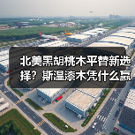 北美黑胡桃木平替新选择？斯温漆木凭什么赢得市场青睐（图3）
