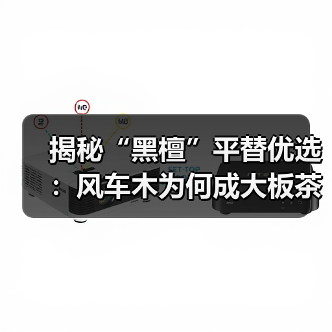 揭秘“黑檀”平替优选:风车木为何成大板茶桌高端材质新宠?(图4) 揭秘“黑檀”平替优选:风车木为何成大板茶桌高端材质新宠?(图4)