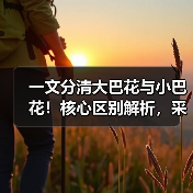 一文分清大巴花与小巴花!核心区别解析,采购避坑必看(图3) 一文分清大巴花与小巴花!核心区别解析,采购避坑必看(图3)
