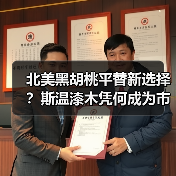 北美黑胡桃平替新选择?斯温漆木凭何成为市场新宠(图4) 北美黑胡桃平替新选择?斯温漆木凭何成为市场新宠(图4)