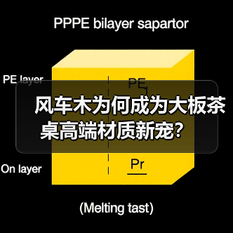 风车木为何成为大板茶桌高端材质新宠?(图2) 风车木为何成为大板茶桌高端材质新宠?(图2)