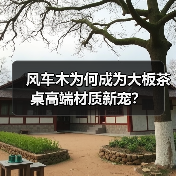 风车木为何成为大板茶桌高端材质新宠?(图3) 风车木为何成为大板茶桌高端材质新宠?(图3)
