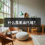 什么是熏蒸托箱?(图4) 什么是熏蒸托箱?(图4)