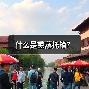 什么是熏蒸托箱?(图3) 什么是熏蒸托箱?(图3)