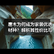 唐木为何成为家装优选材种?解析其性价比与适配优势(图2) 唐木为何成为家装优选材种?解析其性价比与适配优势(图2)