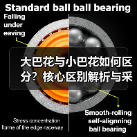大巴花与小巴花如何区分?核心区别解析与采购避坑指南(图1) 大巴花与小巴花如何区分?核心区别解析与采购避坑指南(图1)