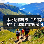 木材防腐等级 “名不副实”?建筑专家揭秘 H3 失效背后的设计危机(图4) 木材防腐等级 “名不副实”?建筑专家揭秘 H3 失效背后的设计危机(图4)