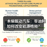 木柴驱动汽车:零油耗如何改变能源格局?(图3) 木柴驱动汽车:零油耗如何改变能源格局?(图3)