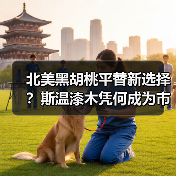 北美黑胡桃平替新选择？斯温漆木凭何成为市场新宠（图4）
