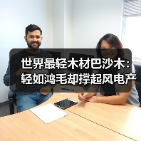 世界最轻木材巴沙木：轻如鸿毛却撑起风电产业半边天（图4）