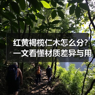 红黄褐榄仁木怎么分?一文看懂材质差异与用途(图3) 红黄褐榄仁木怎么分?一文看懂材质差异与用途(图3)