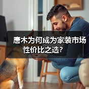 唐木为何成为家装市场性价比之选？（图2）