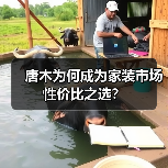 唐木为何成为家装市场性价比之选？（图3）