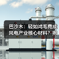 巴沙木：轻如鸿毛竟成风电产业核心材料？揭秘轻质木材的逆袭之路（图4）
