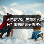 大巴花VS小巴花怎么区分？采购避坑必看核心区别（图4）