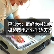 巴沙木：最轻木材如何撑起风电产业半边天？（图4）