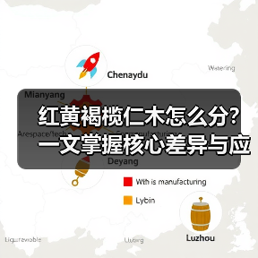 红黄褐榄仁木怎么分?一文掌握核心差异与应用边界(图4) 红黄褐榄仁木怎么分?一文掌握核心差异与应用边界(图4)