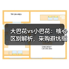 大巴花vs小巴花：核心区别解析，采购避坑指南（图1）