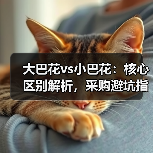 大巴花vs小巴花：核心区别解析，采购避坑指南（图2）