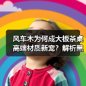 风车木为何成大板茶桌高端材质新宠？解析黑檀平替优选（图1）