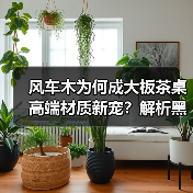 风车木为何成大板茶桌高端材质新宠？解析黑檀平替优选（图4）