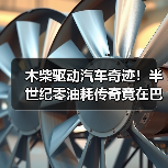 木柴驱动汽车奇迹！半世纪零油耗传奇竟在巴西上演？（图3）