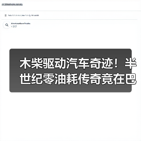木柴驱动汽车奇迹！半世纪零油耗传奇竟在巴西上演？（图4）
