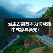 爱里古夷苏木为何成新中式家具新宠?(图2) 爱里古夷苏木为何成新中式家具新宠?(图2)